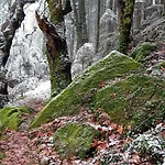 Archontiko Tou Krommyda Konukevi Eláti
