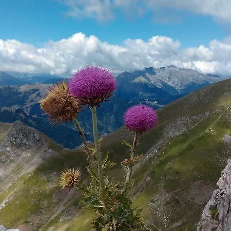 Archontiko Tou Krommyda Gæstehus 3*