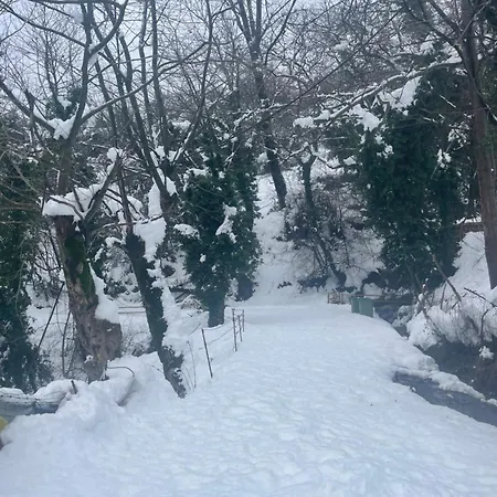 Archontiko Tou Krommyda 3* Elati (Trikala)