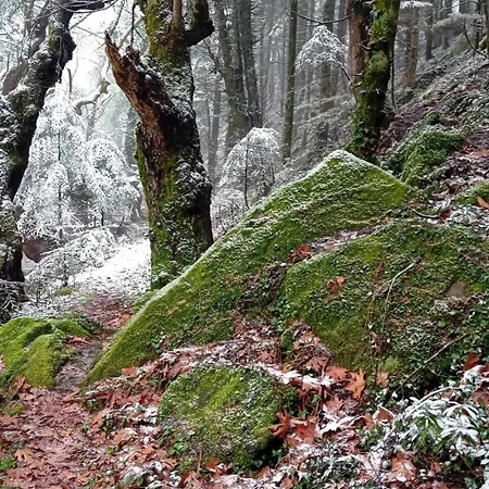 Archontiko Tou Krommyda Gæstehus Eláti